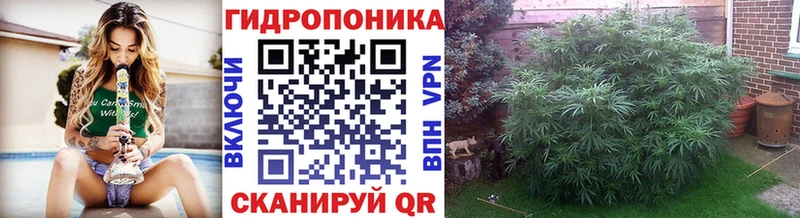 Бошки Шишки марихуана  наркошоп  Чкаловск 